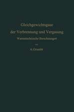 Gleichgewichtsgase der Verbrennung und Vergasung: Wärmetechnische Berechnungen