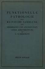 Funktionelle Pathologie: Eine Klinische Sammlung von Ergebnissen und Anschauungen Einer Arbeitsrichtung