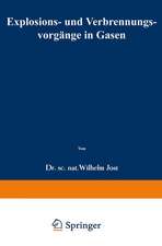 Explosions- und Verbrennungsvorgänge in Gasen