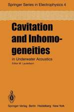 Cavitation and Inhomogeneities in Underwater Acoustics