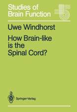 How Brain-like is the Spinal Cord?: Interacting Cell Assemblies in the Nervous System