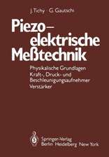 Piezoelektrische Meßtechnik: Physikalische Grundlagen, Kraft-, Druck- und Beschleunigungsaufnehmer, Verstärker