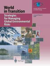 Strategies for Managing Global Environmental Risks: Annual Report 1998