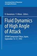 Fluid Dynamics of High Angle of Attack: IUTAM Symposium Tokyo, Japan September 13–17, 1992