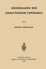 Grundlagen der Analytischen Topologie