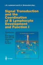 Signal Transduction and the Coordination of B Lymphocyte Development and Function I: Transduction of BCR Signals from the Cell Membrane to the Nucleus