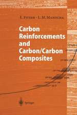 Carbon Reinforcements and Carbon/Carbon Composites