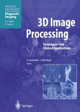 3D Image Processing: Techniques and Clinical Applications