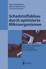 Schadstoffabbau durch optimierte Mikroorganismen: Gerichtete Evolution - Eine Strategie im Umweltschutz