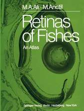 Retinas of Fishes