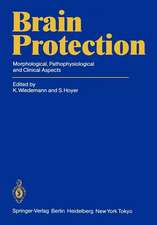 Brain Protection: Morphological, Pathophysiological and Clinical Aspects