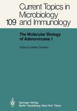 The Molecular Biology of Adenoviruses I: 30 Years of Adenovirus Research 1953–1983