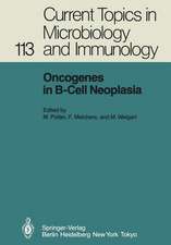 Oncogenes in B-Cell Neoplasia