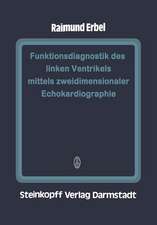 Funktionsdiagnostik des linken Ventrikels mittels zweidimensionaler Echokardiographie