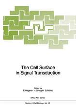 The Cell Surface in Signal Transduction