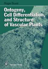 Ontogeny, Cell Differentiation, and Structure of Vascular Plants