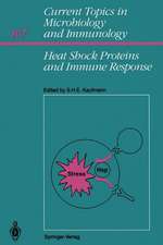 Heat Shock Proteins and Immune Response