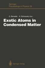 Exotic Atoms in Condensed Matter: Proceedings of the Erice Workshop at the Ettore Majorana Centre for Scientific Culture, Erice, Italy, May 19 – 25, 1990