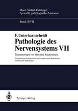 Pathologie des Nervensystems VII: Traumatologie von Hirn und Rückenmark Traumatische Schäden von Rückenmark und Wirbelsäule (forensische Pathologie)