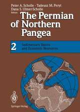 The Permian of Northern Pangea: Volume 2: Sedimentary Basins and Economic Resources