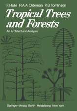 Tropical Trees and Forests: An Architectural Analysis