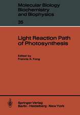 Light Reaction Path of Photosynthesis