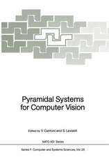 Pyramidal Systems for Computer Vision