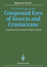 The Physiology of the Compound Eyes of Insects and Crustaceans: A Study