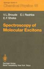 Spectroscopy of Molecular Excitons