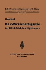 Das Wirtschaftsganze im Blickfeld des Ingenieurs: Eine Einführung in die Volkswirtschaft