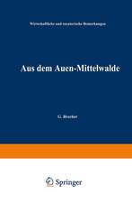 Aus dem Auen-Mittelwalde