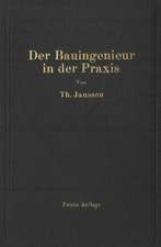 Der Bauingenieur in der Praxis: Eine Einführung in die wirtschaftlichen und praktischen Aufgaben des Bauingenieurs