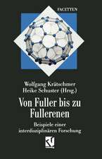 Von Fuller bis zu Fullerenen: Beispiele einer interdisziplinären Forschung