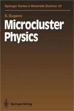 Sugano, S: Microcluster Physics
