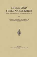 Seele und Seelenkrankheit: Eine Einführung in die Grundbegriffe