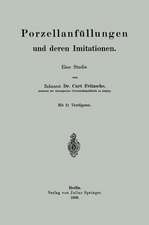 Porzellanfüllungen und deren Imitationen: Eine Studie