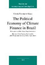 The Political Economy of Climate Finance in Brazil