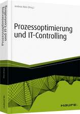 Prozessoptimierung und IT-Controlling