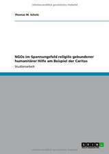 NGOs im Spannungsfeld religiös gebundener humanitärer Hilfe am Beispiel der Caritas