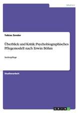 Überblick und Kritik: Psychobiographisches Pflegemodell nach Erwin Böhm