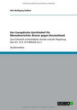 Der Europäische Gerichtshof für Menschenrechte: Brauer gegen Deutschland