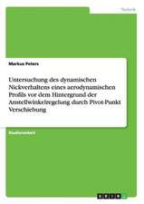 Untersuchung des dynamischen Nickverhaltens eines aerodynamischen Profils vor dem Hintergrund der Anstellwinkelregelung durch Pivot-Punkt Verschiebung