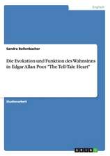 Die Evokation und Funktion des Wahnsinns in Edgar Allan Poes 