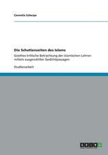 Die Schattenseiten des Islams