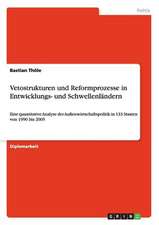 Vetostrukturen und Reformprozesse in Entwicklungs- und Schwellenländern