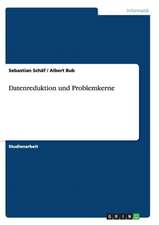 Datenreduktion und Problemkerne