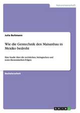 Wie die Gentechnik den Maisanbau in Mexiko bedroht