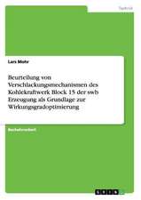 Beurteilung von Verschlackungsmechanismen des Kohlekraftwerk Block 15 der swb Erzeugung als Grundlage zur Wirkungsgradoptimierung