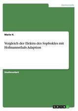 Vergleich der Elektra des Sophokles mit Hofmannsthals Adaption