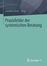 Praxisfelder der systemischen Beratung